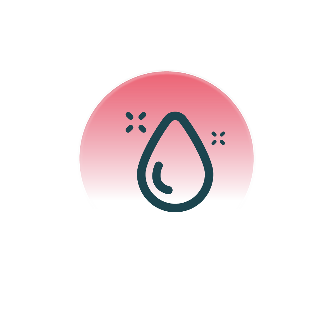 Realfood - Icon